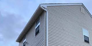 Best Steel Siding Installation  in Horatio, AR